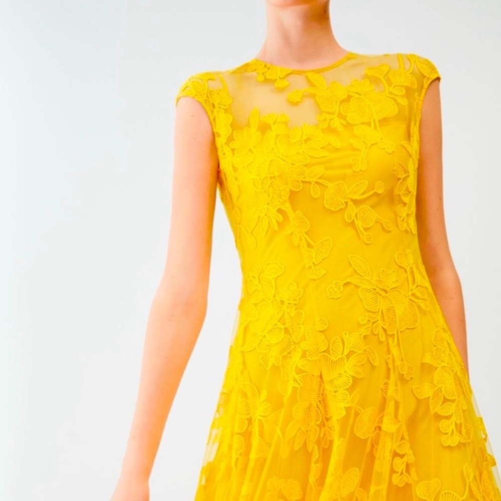 Carolina Herrera Runway Yellow Floral Eyelet Gown - Picture 2 of 5